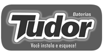 logo tudor